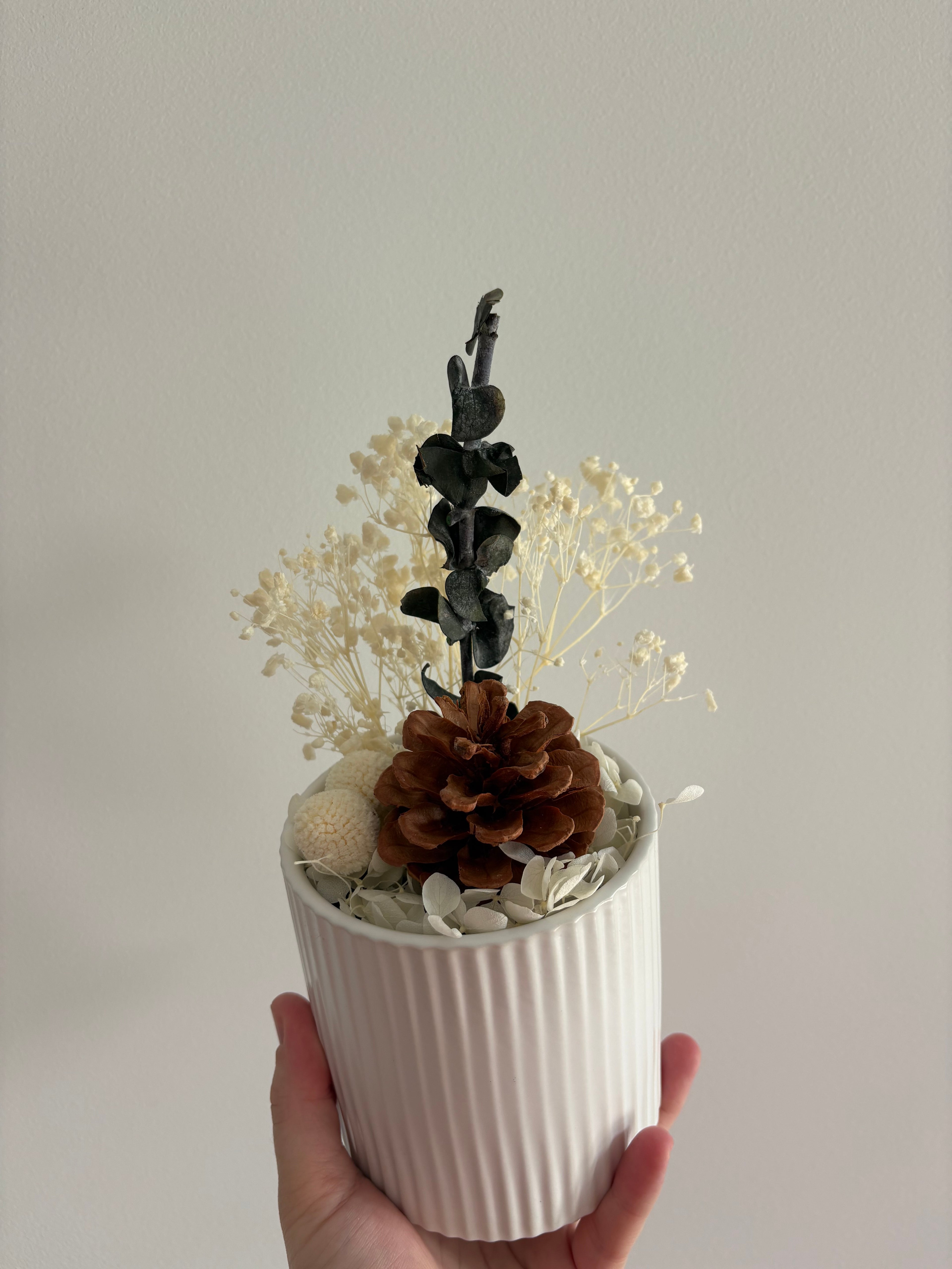 Small Arrangement - Pine Cone & Dollar Gum